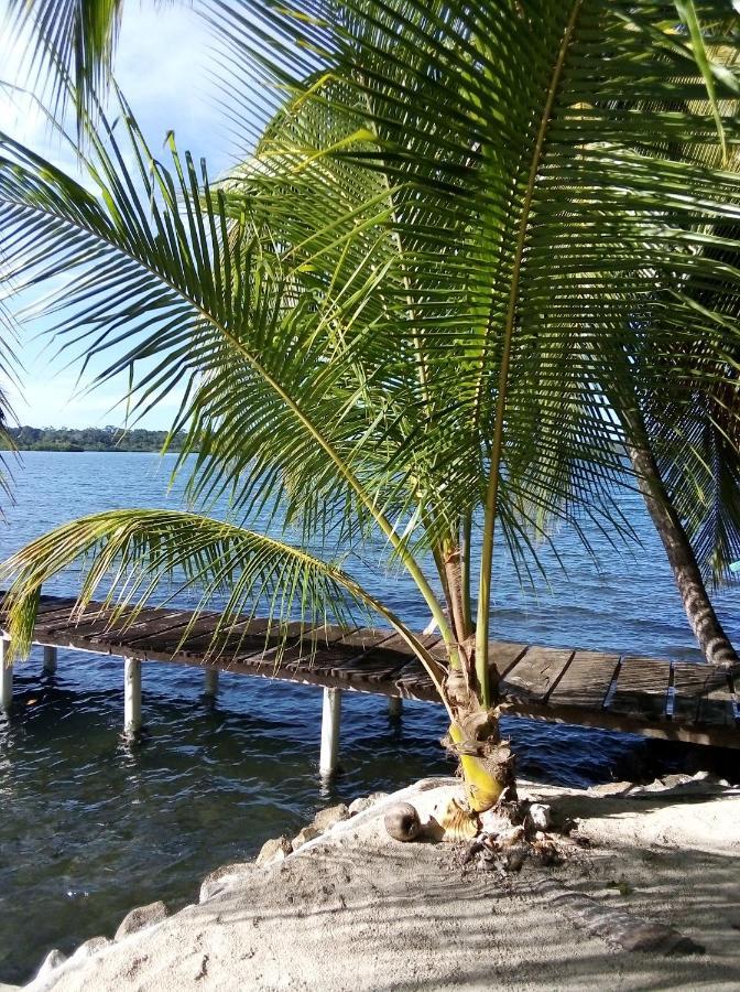 El Toucan Loco floating lodge Tierra Oscura Exterior foto